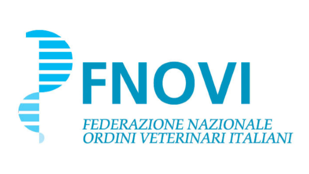 Immagine: 