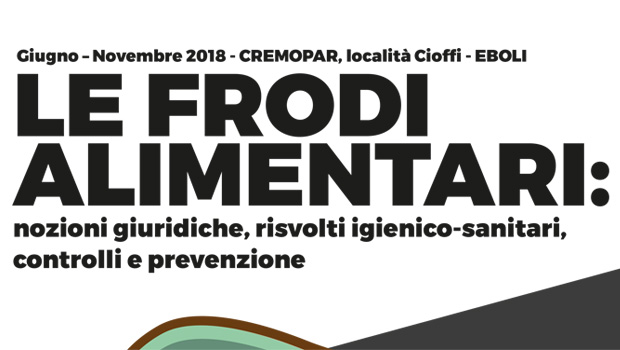 Immagine: 