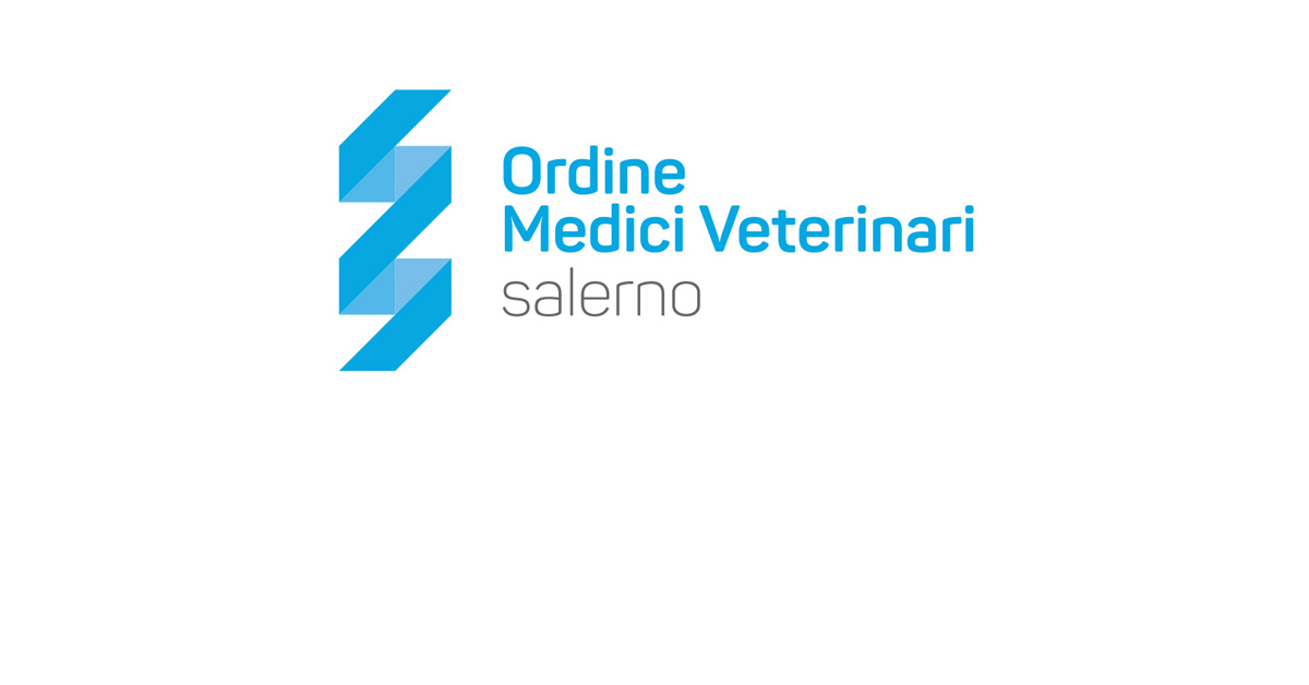 Immagine: 