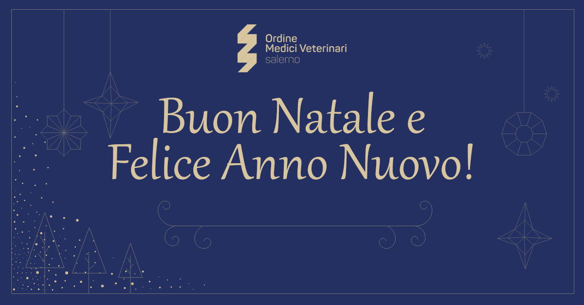 Immagine: 