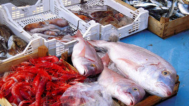 Immagine: 