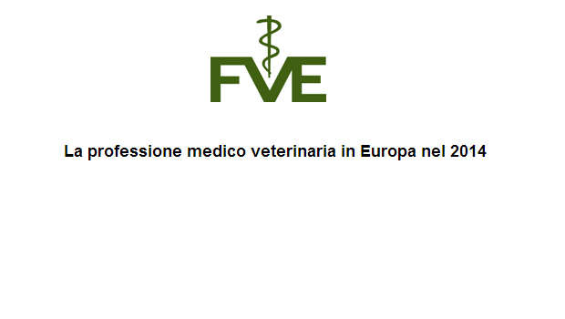 Immagine: 