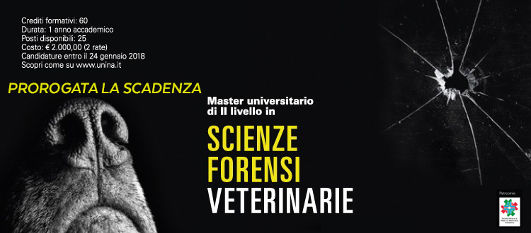 Immagine: 