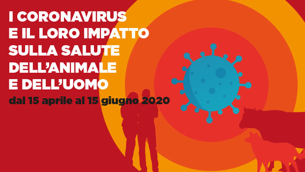 Immagine: 