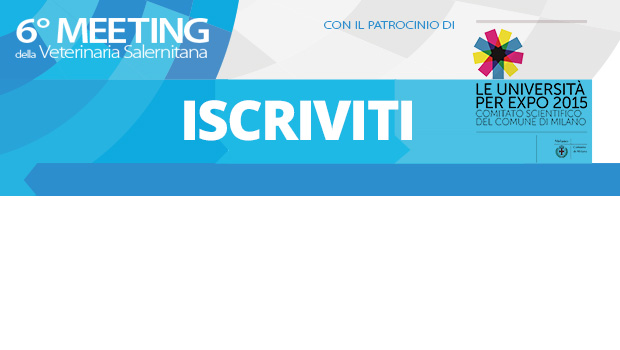 Immagine: 