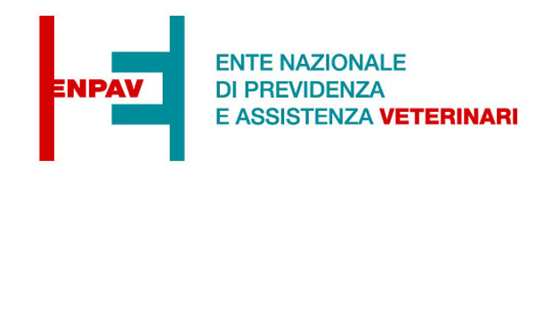 Immagine: 