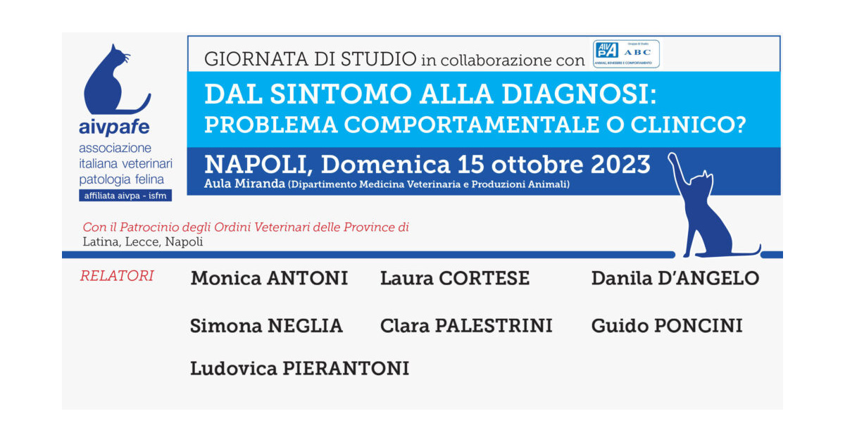 Immagine: 