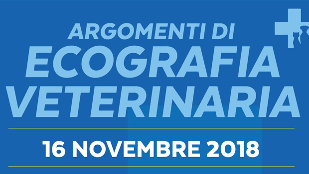 Immagine: 