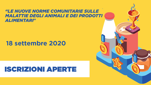 Immagine: 