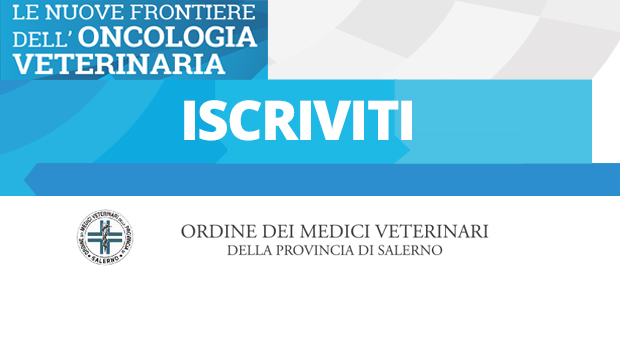 Immagine: 
