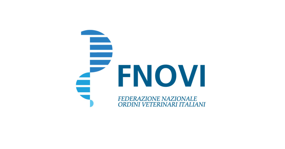 Immagine: 