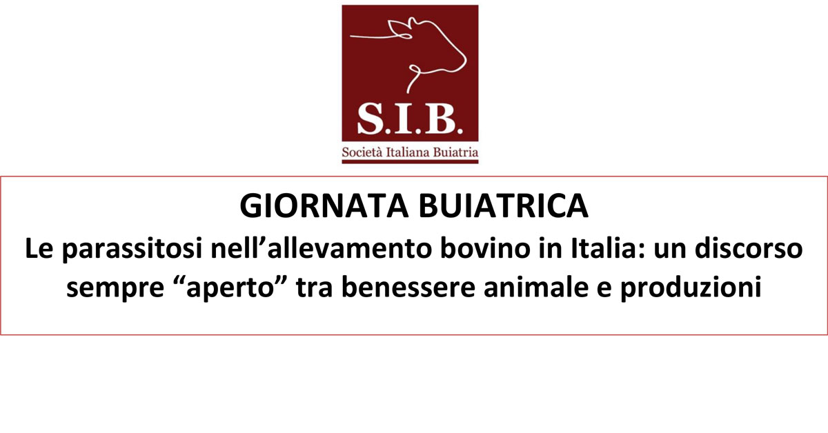 Immagine: 