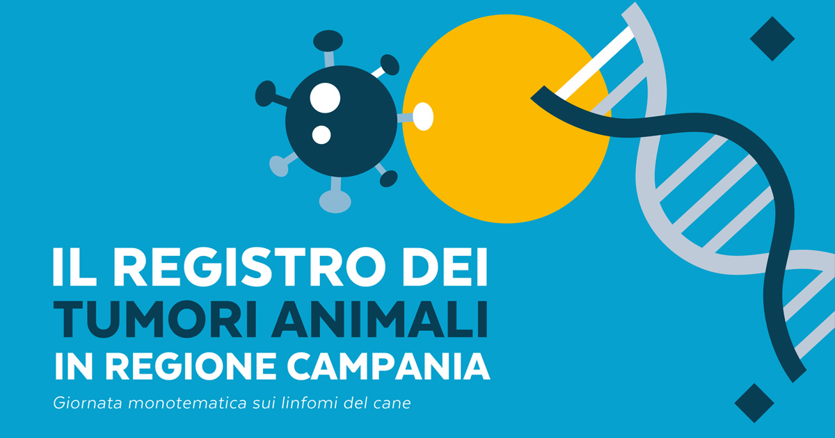 Immagine: 