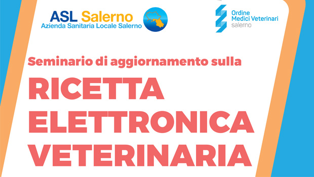 Immagine: 