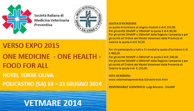 Immagine: 