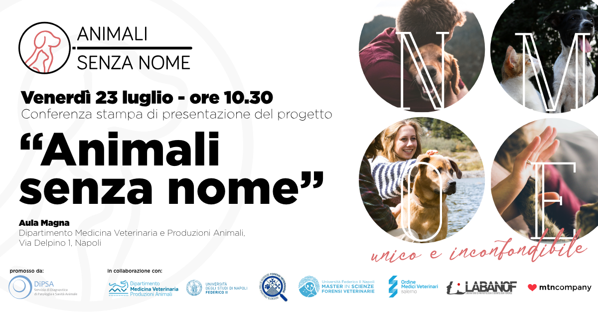 Immagine: 