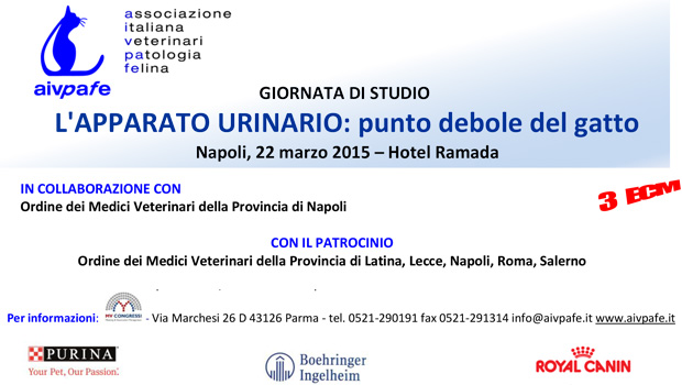Immagine: 