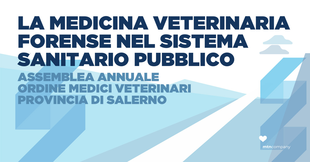 Immagine: 