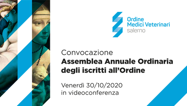 Immagine: 