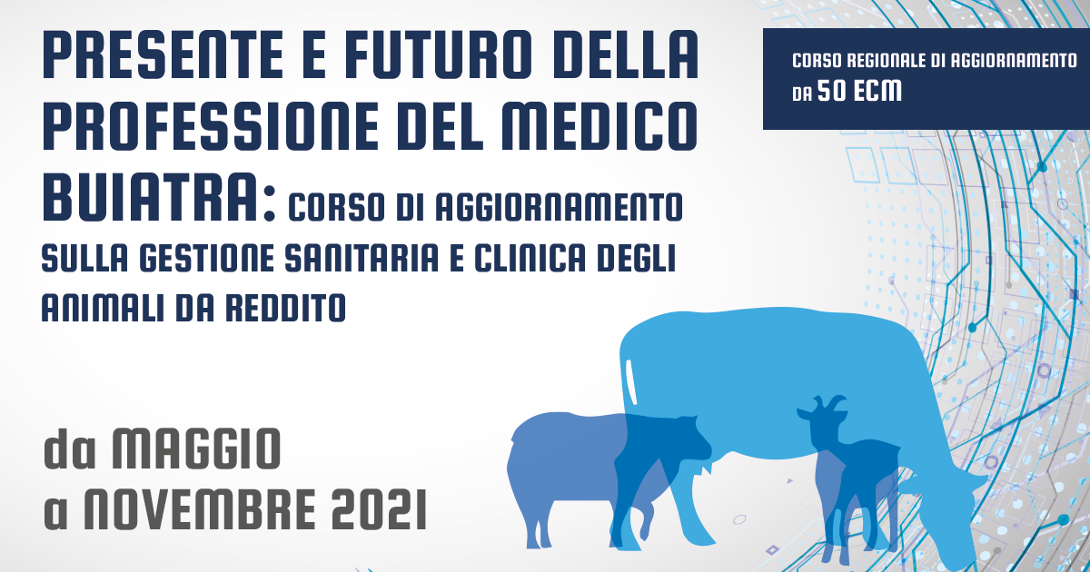 Immagine: 