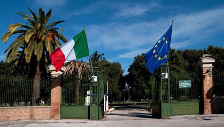 Immagine: 