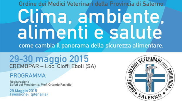 Immagine: 