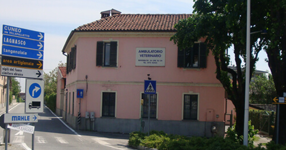 Immagine: 