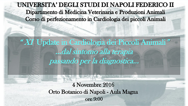 Immagine: 