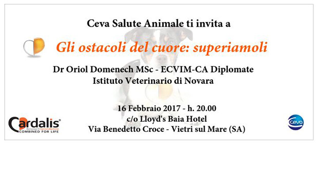 Immagine: 
