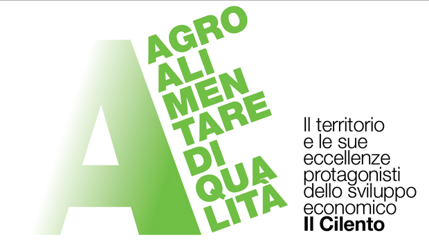Immagine: 