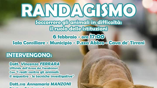 Immagine: 