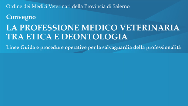 Immagine: 