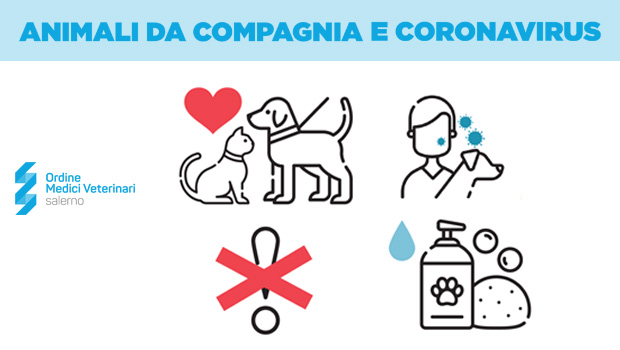 Immagine: 
