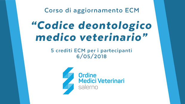 Immagine: 