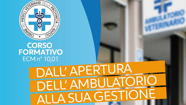 Immagine: 