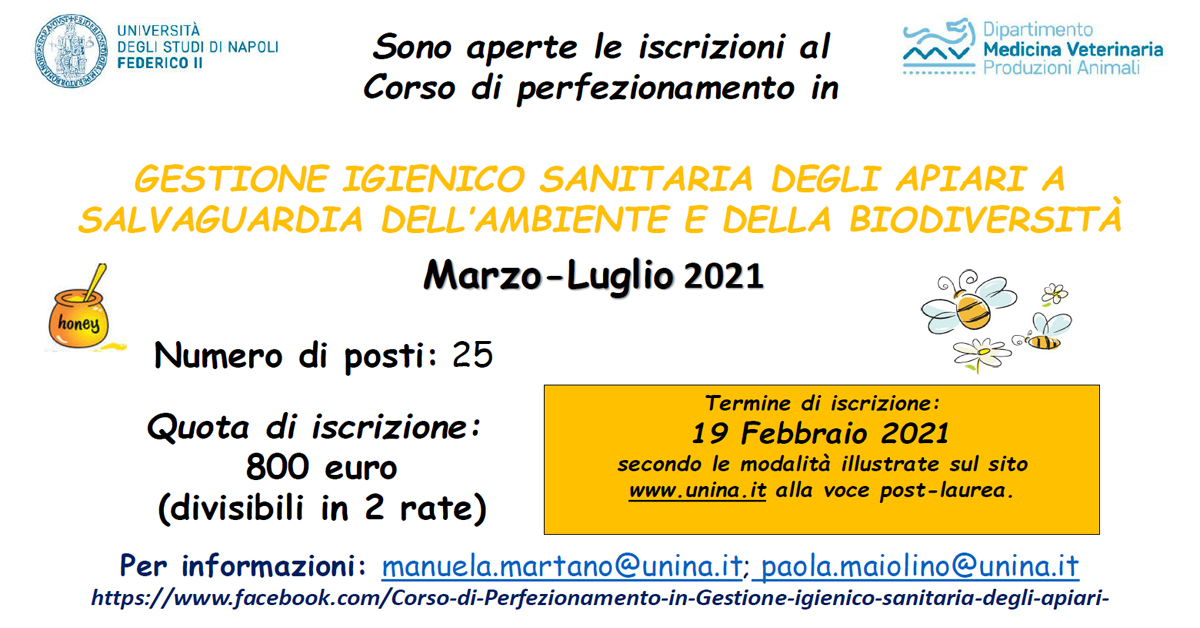 Immagine: 