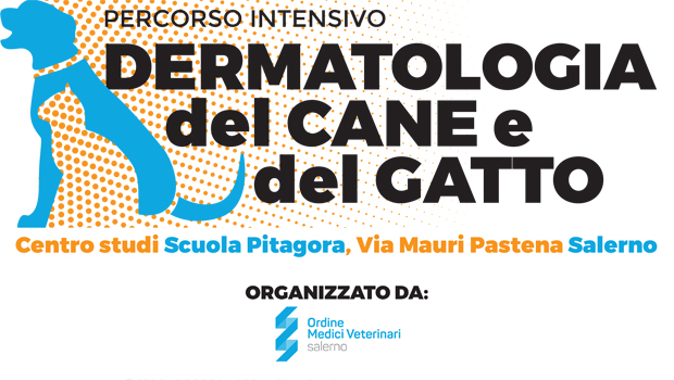 Immagine: 