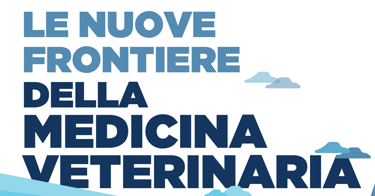 Immagine: 
