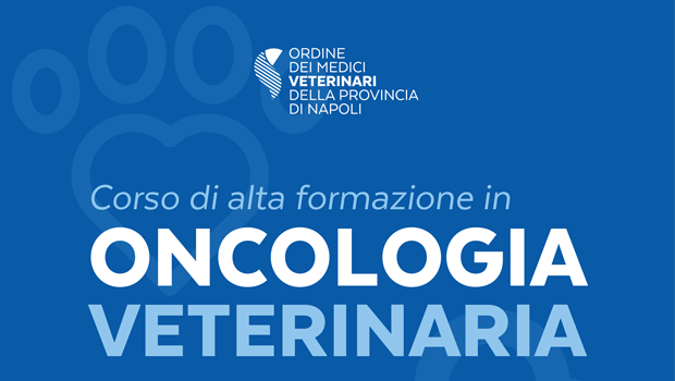 Immagine: 