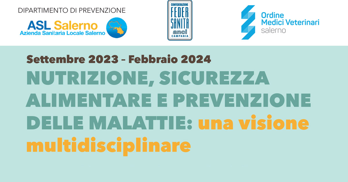 Immagine: 