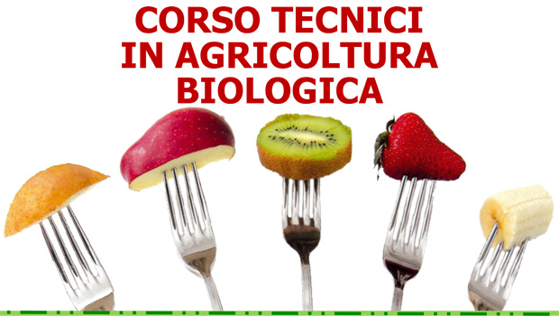 Immagine: 