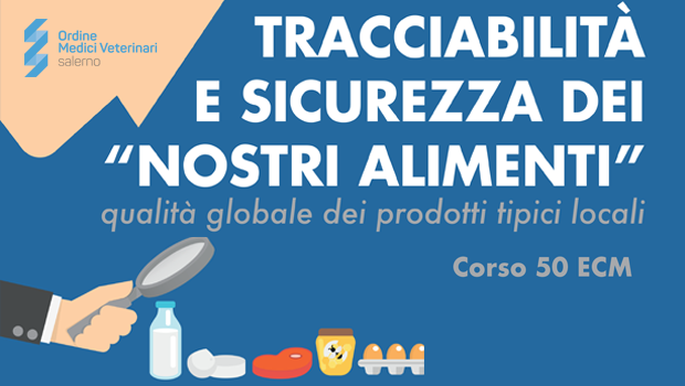 Immagine: 