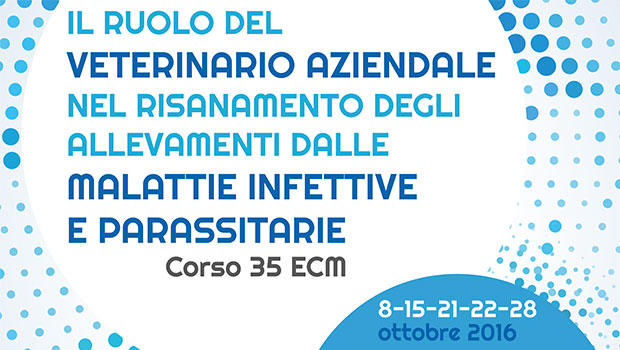 Immagine: 