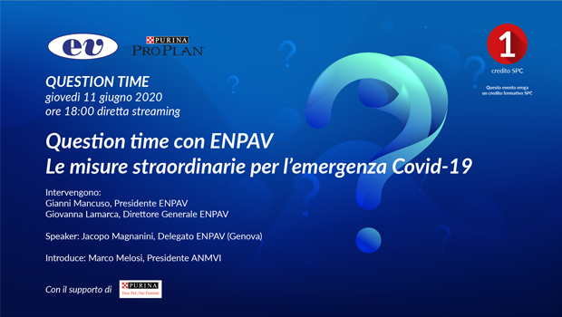 Immagine: 