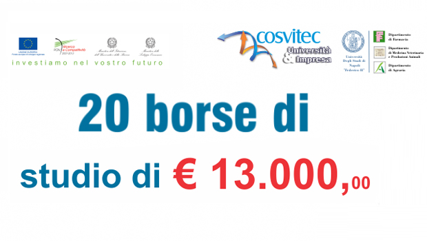 Immagine: 