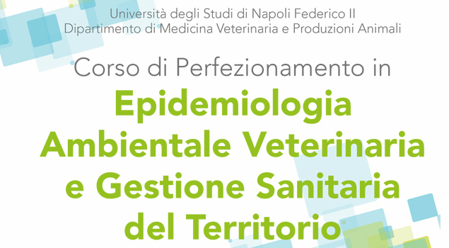 Immagine: 