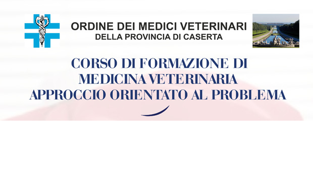 Immagine: 