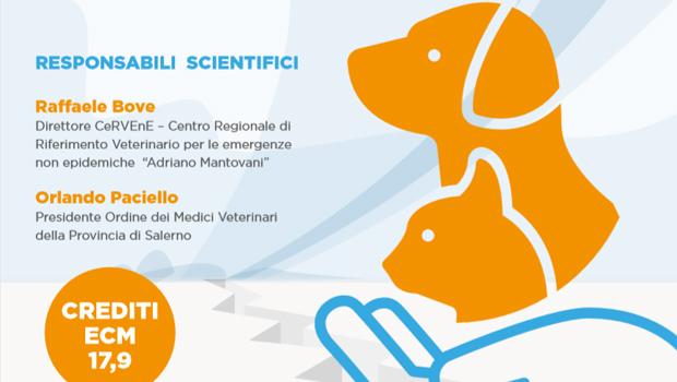 Immagine: 