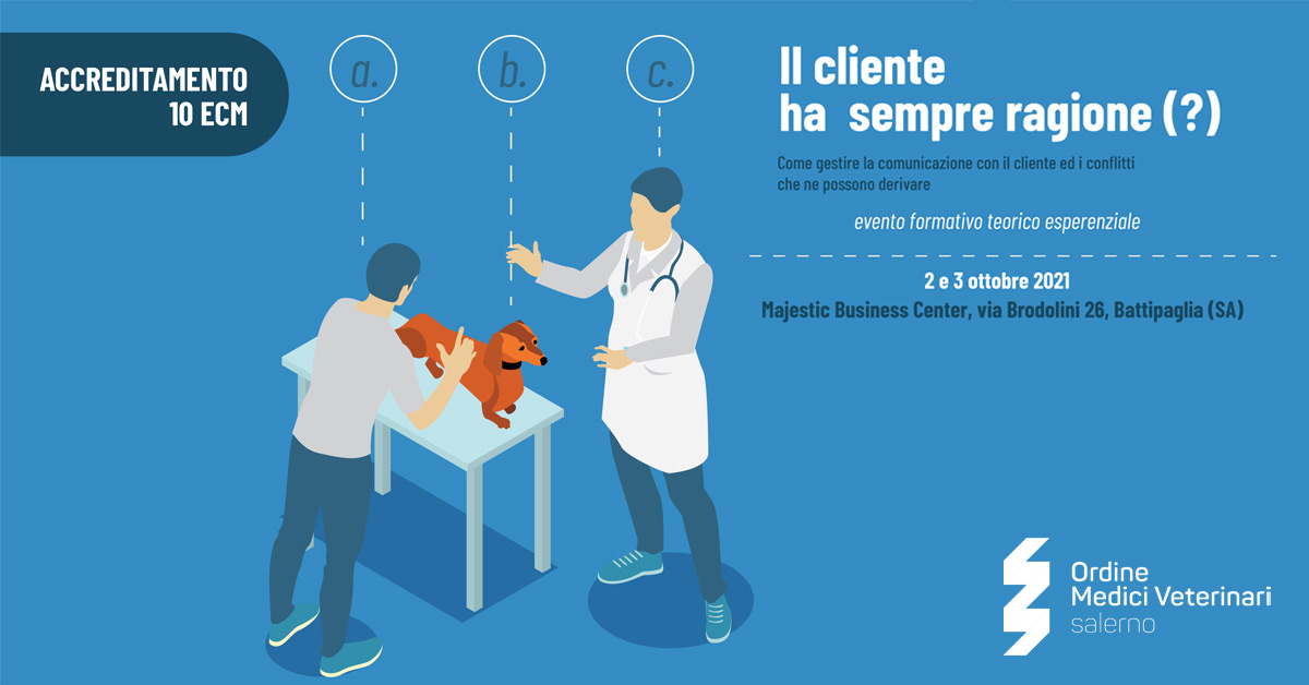 Immagine: 