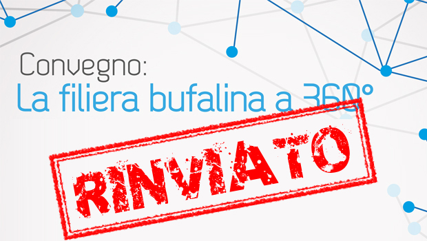 Immagine: 